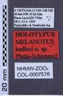 Etiketten zu Melanotus kadleci (NHMW-ZOO-COL-0007576)